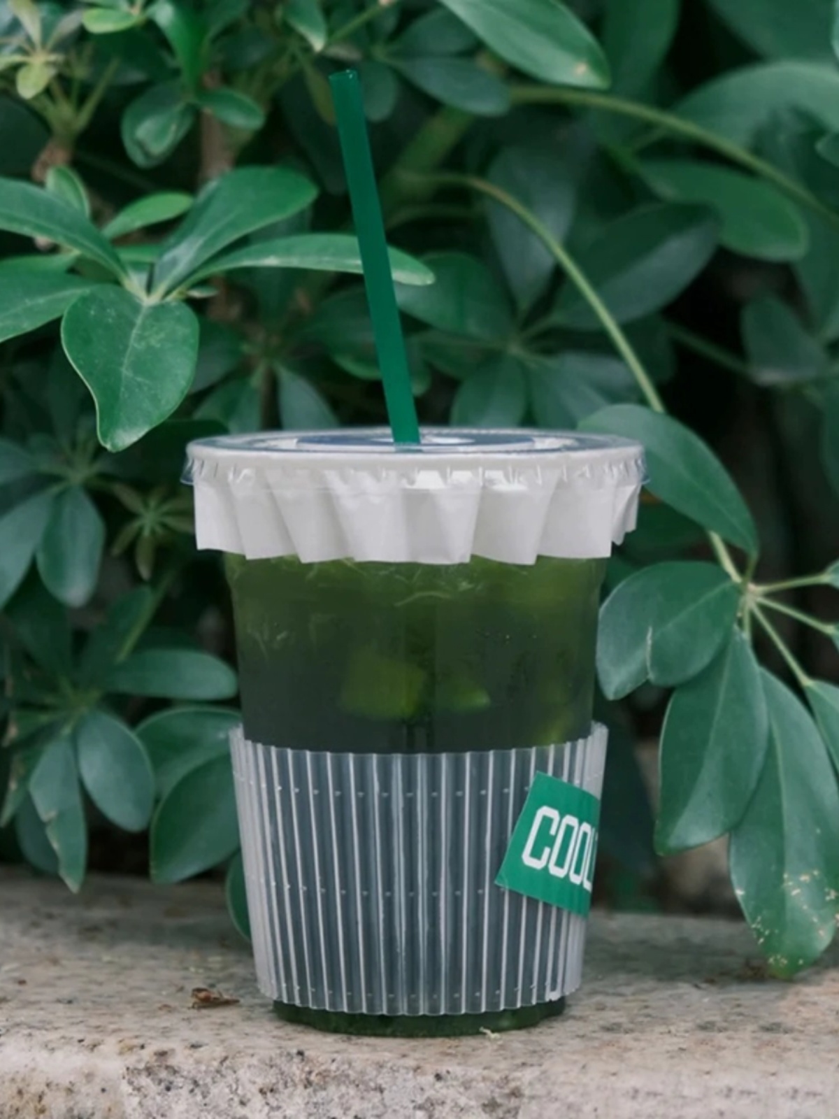 Disposable Transparent Cup Sve - Coffee Tea Paper Cups ulasan dan harga